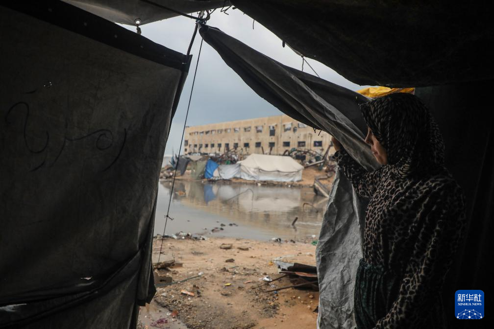 12月12日，一名女子在加沙城临时栖身的帐篷内向外张望。新华社发（里泽克·阿卜杜勒贾瓦德摄）