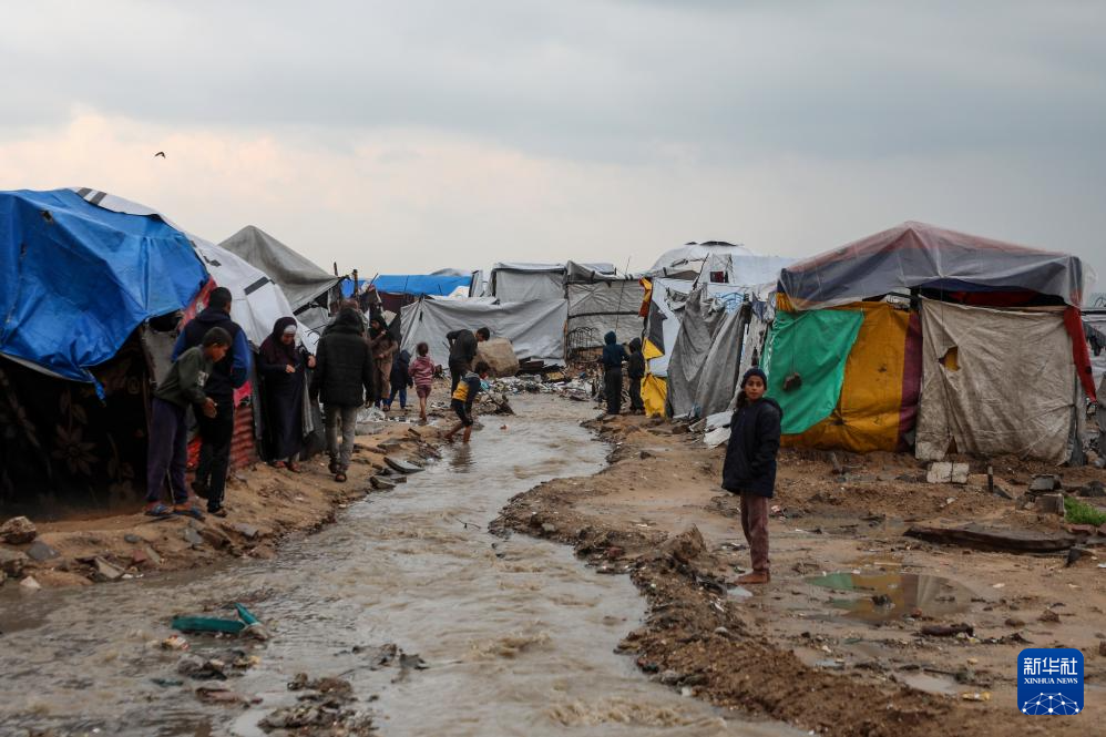 12月12日，巴勒斯坦人站在加沙城临时栖身的帐篷外。新华社发（里泽克·阿卜杜勒贾瓦德摄）