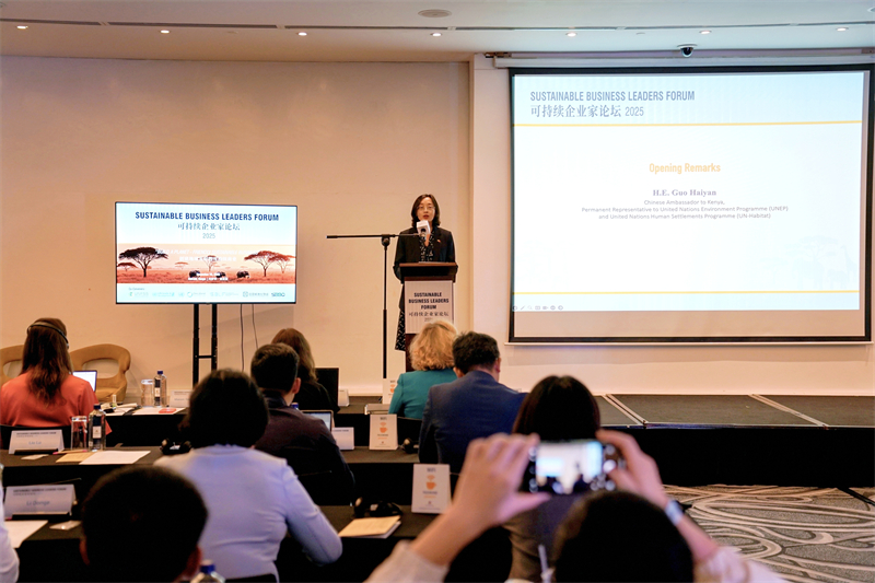中国驻肯尼亚大使、常驻联合国环境规划署代表、常驻联合国人类住区规划署代表郭海燕致辞。主办方供图