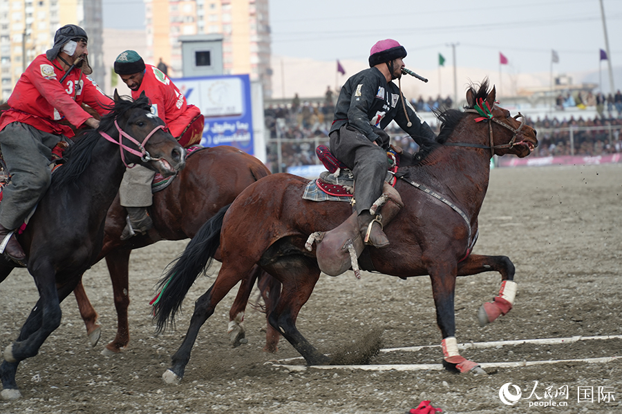 阿富汗首都喀布尔举行“马背叼羊”比赛。人民网记者 章凯风摄