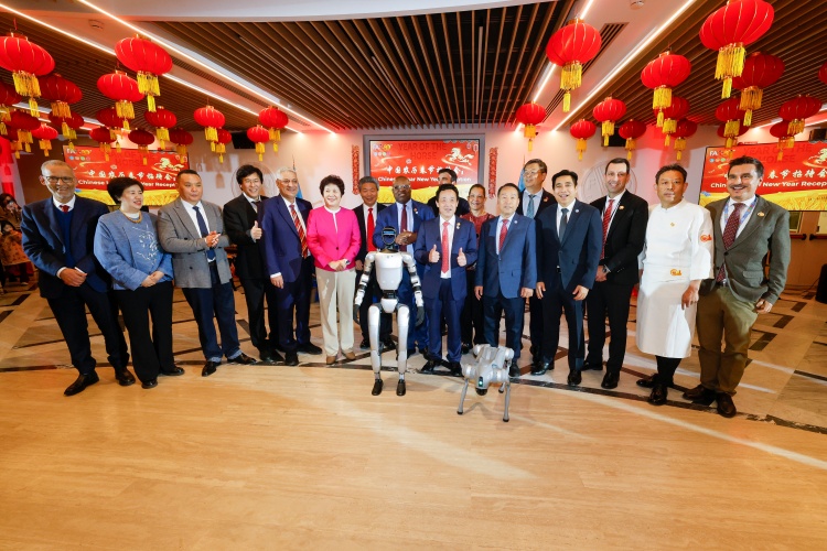 联合国粮农组织举办第三届中国农历春节招待会（联合国粮农组织会议）