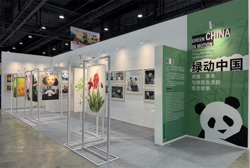 “绿动中国：熊猫、草木与微距生灵的生态叙事”主题展览在第24届曼谷国际书展期间亮相。 活动主办方供图
