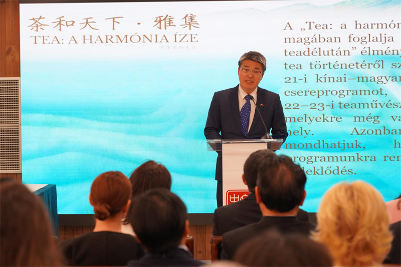 布达佩斯中国文化中心王如东致辞。布达佩斯中国文化中心供图