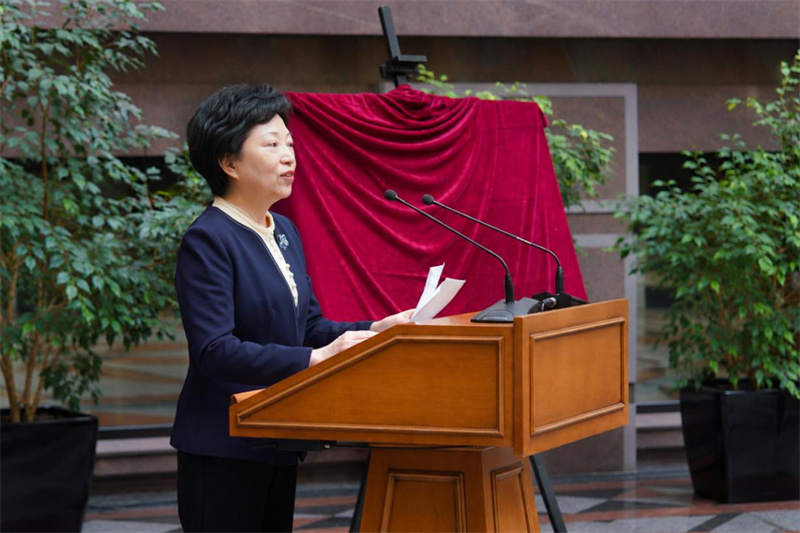 图为沈蓓莉发表致辞。中国宋庆龄基金会供图