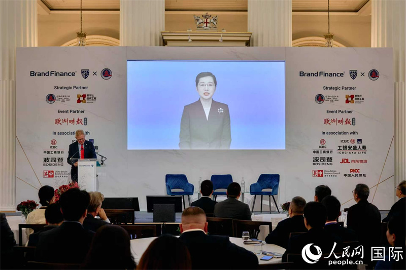 新华社副社长袭艳春发表视频致辞。杨浩鹏摄