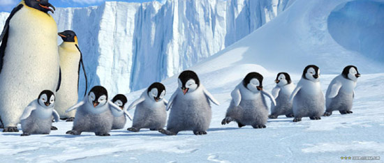 组图:小企鹅可爱出击 北美票房超过007 (14)
