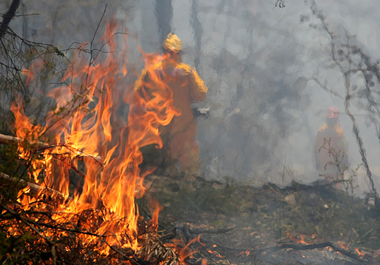 澳大利亚东南部山火肆虐 死亡人数已升至128人