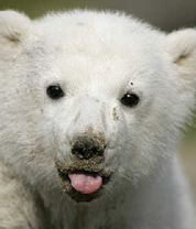 环球揽胜图集--国际--人民网