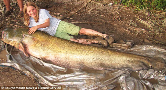 英11岁女孩钓到87.5公斤大鱼 打破世界纪录(图