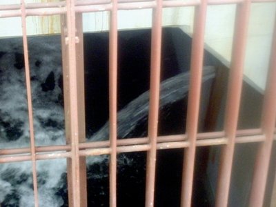 图片:福岛核电站泄漏的污水