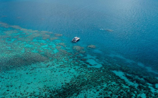 大礁Barrera de Arrecife de Coral 39年监测