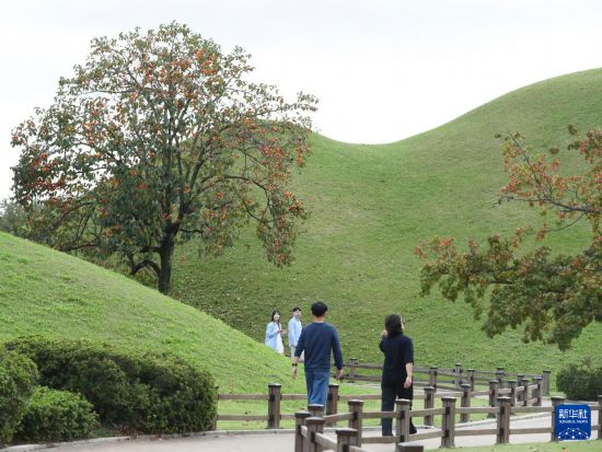 10月17日，游客在韩国庆州的大陵苑一带参观。新华社记者 姚琪琳 摄