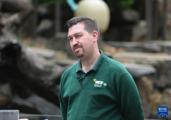 11月10日,在澳大利亚阿德莱德,阿德莱德动物园园长查德·克里特尔接受新华社采访。新华社记者 马平 摄