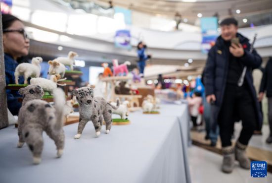 12月20日拍摄的在活动中展出的蒙古国毛绣手工艺品。新华社记者 连振 摄