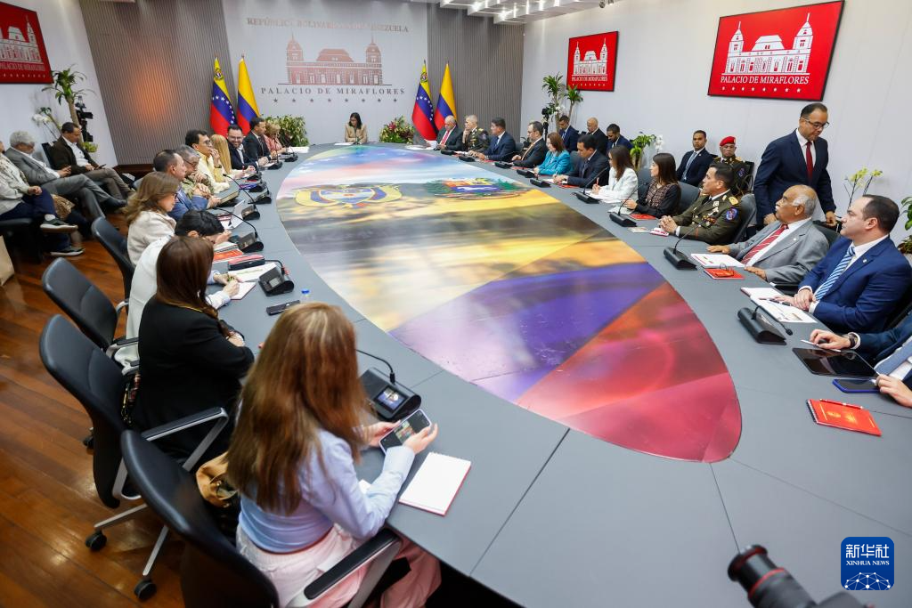 3月13日，委内瑞拉代总统德尔西·罗德里格斯（中）在位于加拉加斯的总统府与哥伦比亚代表团举行会晤。新华社发