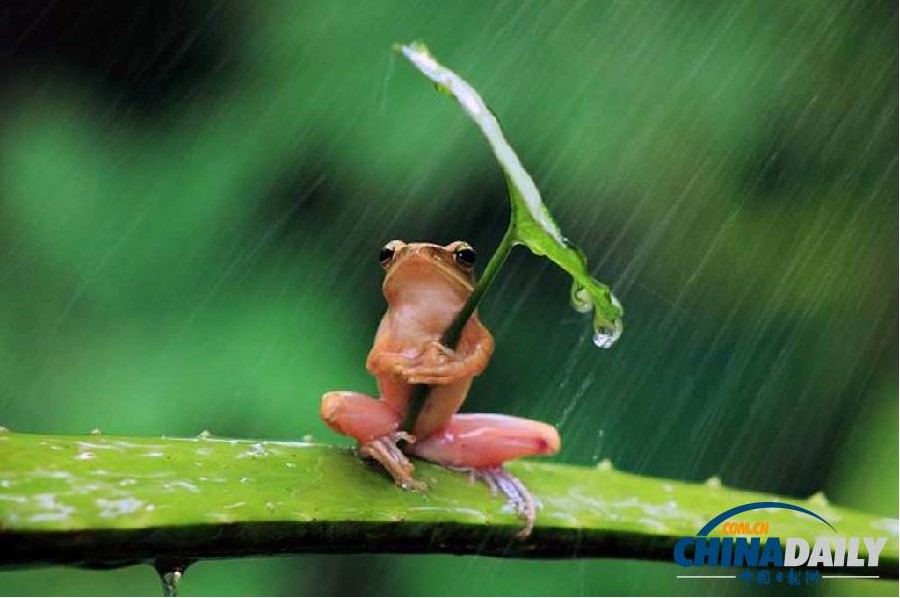 ӡ�����ɡ����ϵ��ϵ��Ӱʦ����