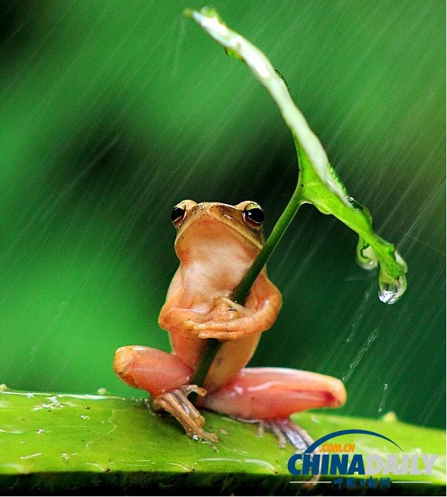 ӡ�����ɡ����ϵ��ϵ��Ӱʦ���ġ�2��