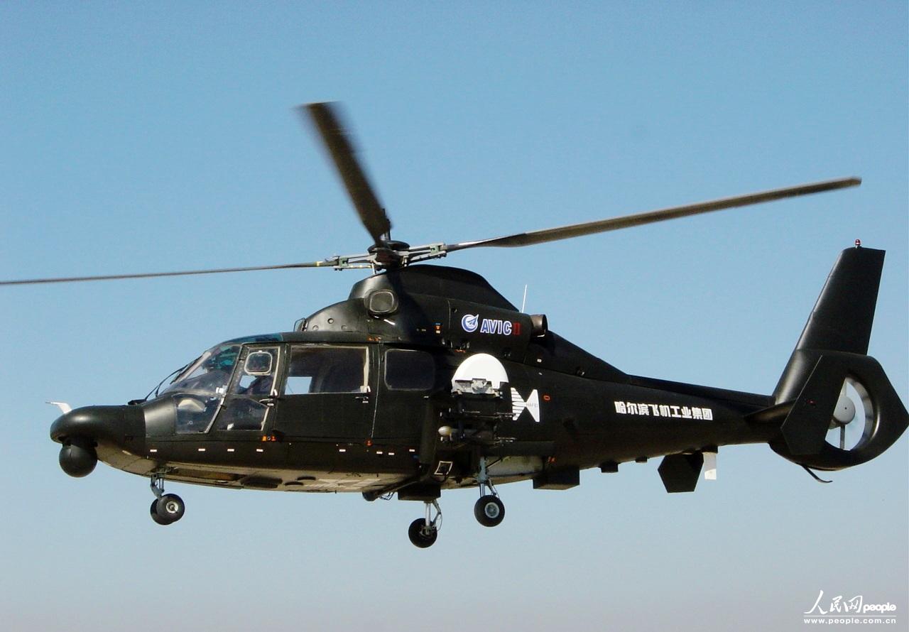 中国出口型武装直升机亮相迪拜航展(图)