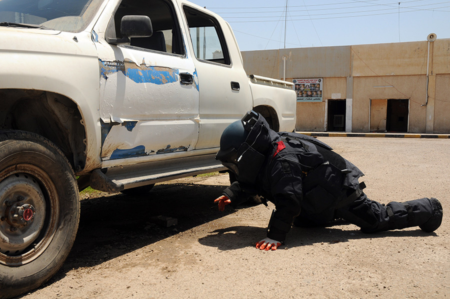 南非总统祖马就职民航军机混编掠过总统府9