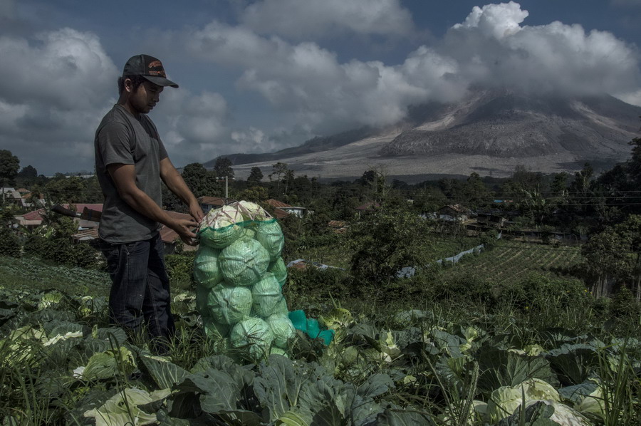 6��11�գ���ӡ�������Ǳ����Ŵ���ʡ��һ��ũ�����緢���������ɽ������ũ�����������»���/����