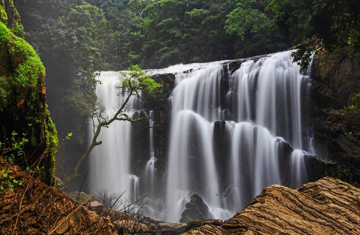 ��Ӱʦ�ı���ӡ�ȣ�Զ�������������ģ�������ͼ����8��