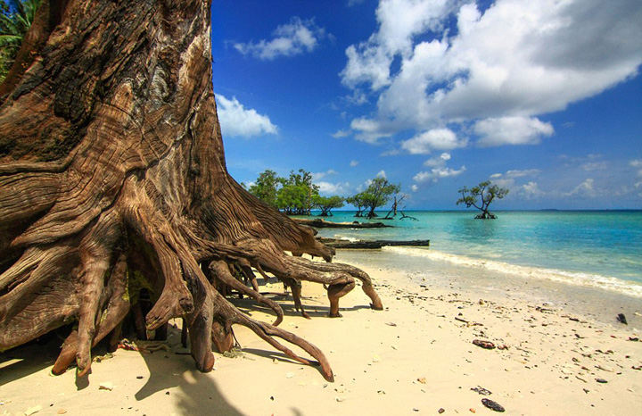 ��Ӱʦ�ı���ӡ�ȣ�Զ�������������ģ�������ͼ����10��