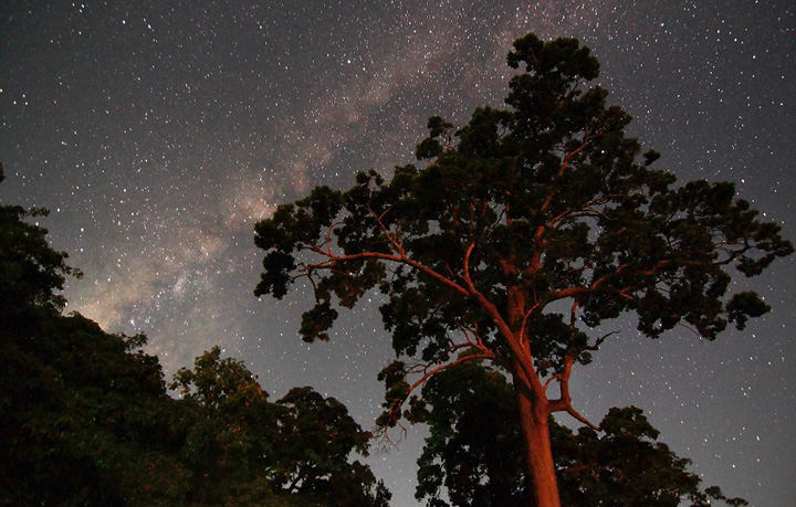 ��Ӱʦ�ı���ӡ�ȣ�Զ�������������ģ�������ͼ����15��