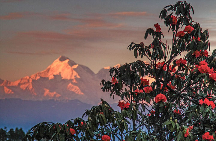 ��Ӱʦ�ı���ӡ�ȣ�Զ�������������ģ�������ͼ����4��