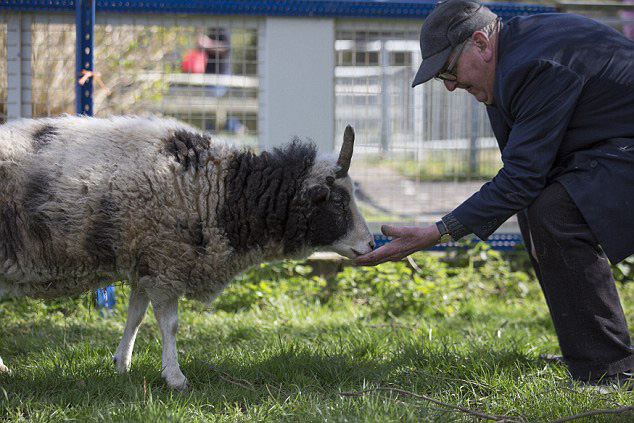 Ӣ�����������ߺ� �񡰶����ޡ���������ͼ����2��