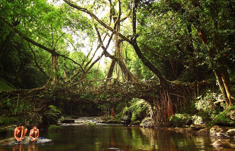 ӡ�Ⱦ����֡����š� ������50�ˣ���ͼ����3��