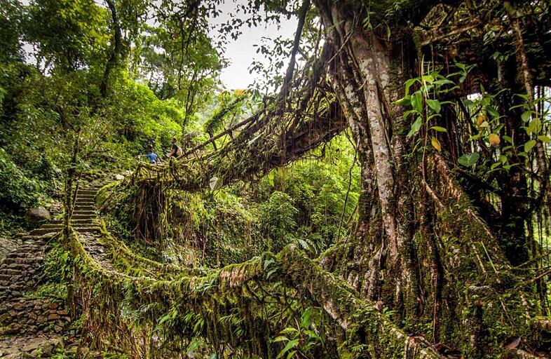 ӡ�Ⱦ����֡����š� ������50�ˣ���ͼ����2��