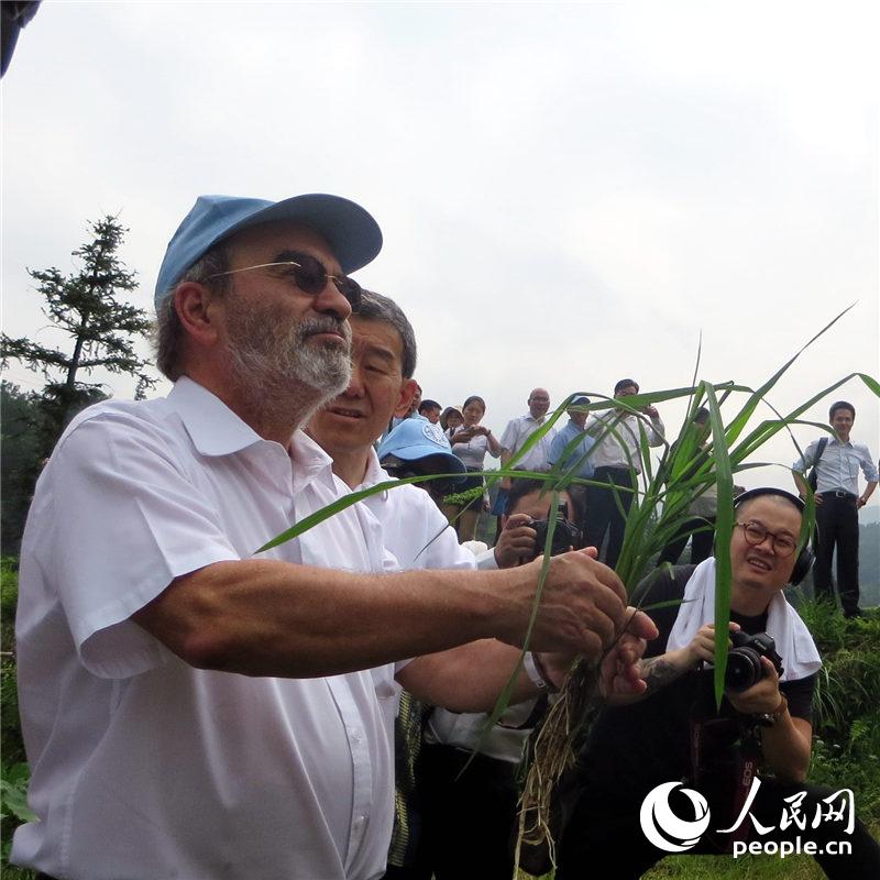 6��5�գ����Ϲ���ũ��֯�ܸ��¸�������ŵ�����㽭ʡ�����أ������й���һ��ȫ����Ҫũҵ�Ļ��Ų������Ե㡪�����ﵾ�㹲��ϵͳ��������������ѩ��