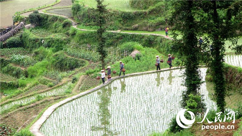 ������ɽ����٣����С���ɽ��ˮ������˵����ͼΪ���㹲��ϵͳ�����������������ѩ��