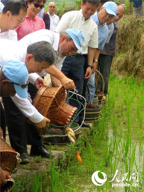 �ܸ���������ˮ�����з��㡣������������ѩ��