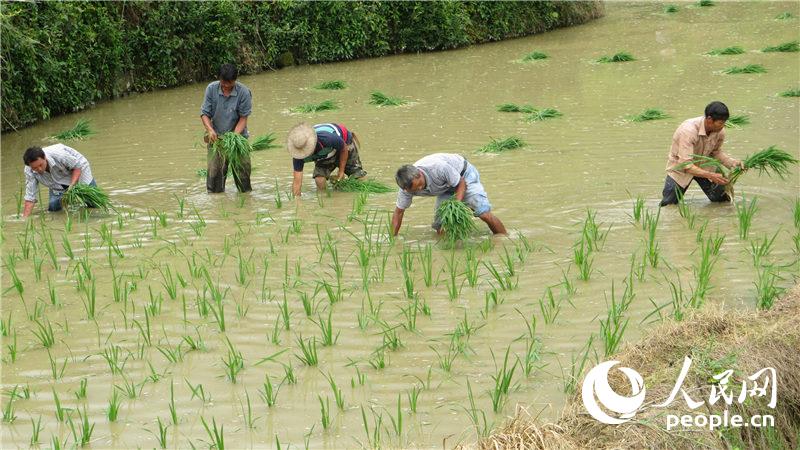 ��ֵâ�֣�����ũ�����ڲ�����������������ѩ��