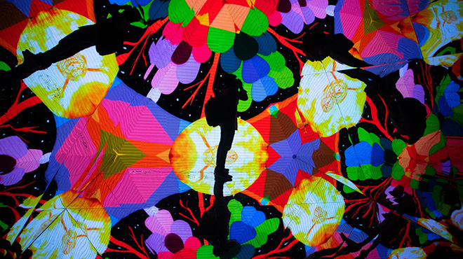 墨西哥举办沉浸式体验活动 现场艺术家作品色彩斑斓