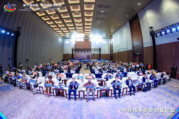 活动现场。全国青联国际部供图