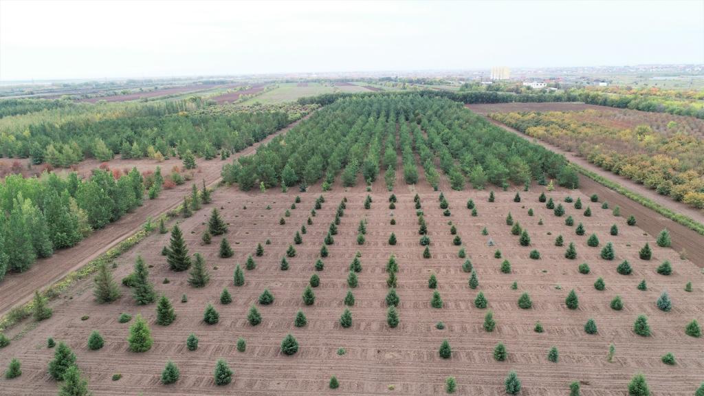 ����2023��9��11���ڹ�����˹̹�׶���˹���������һ��ֲ��������Դ���ԣ����˻���Ƭ�����»��緢���������ء�ͼ��ŵ�� �㣩