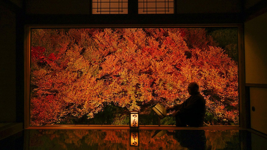 日本兵库县安国寺吊钟迎来红叶观赏期