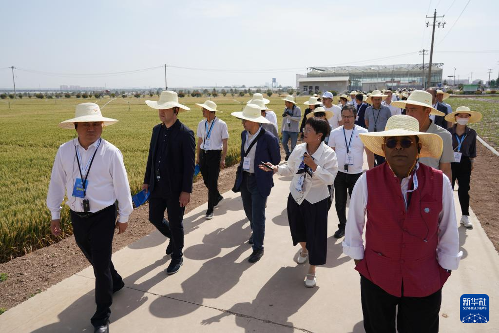 5月19日，与会人员在陕西杨凌参观旱区农业节水技术与装备田间展。新华社记者 邵瑞 摄