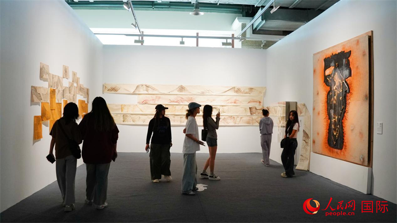 该展厅呈现匈牙利艺术家伊什特万、阿根廷艺术家阿娜希作品。人民网 严小晶摄