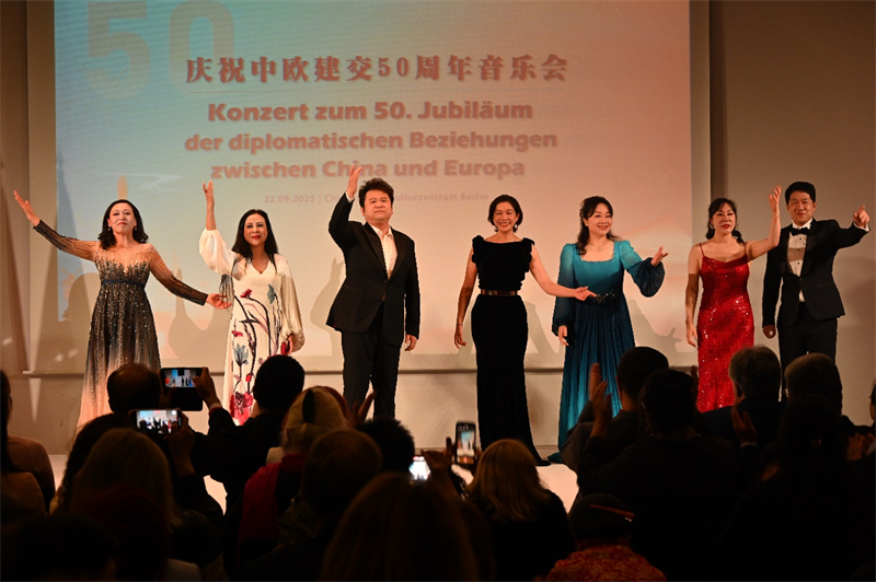 来自中国音乐学院的文化交流使者们。柏林中国文化中心供图