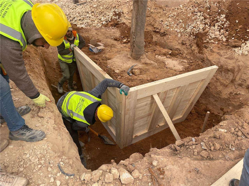 工作人员正在进行移栽作业。肖鹏摄