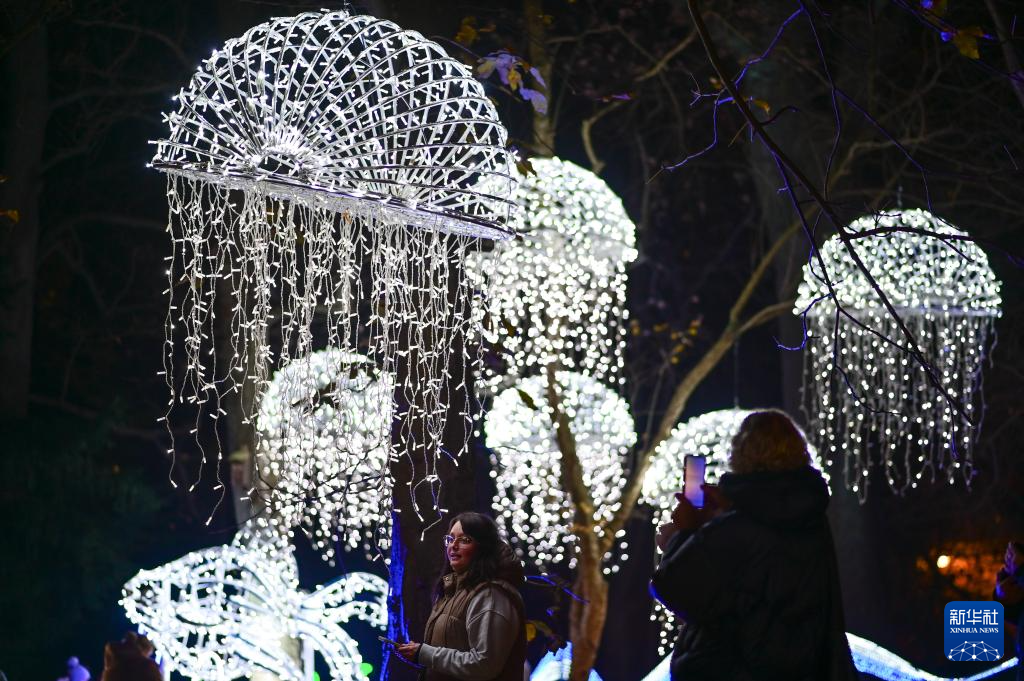 11月8日，游客在波兰华沙大学参观“魔法植物园”灯光展。新华社发（阿列克谢·维特维茨基摄）