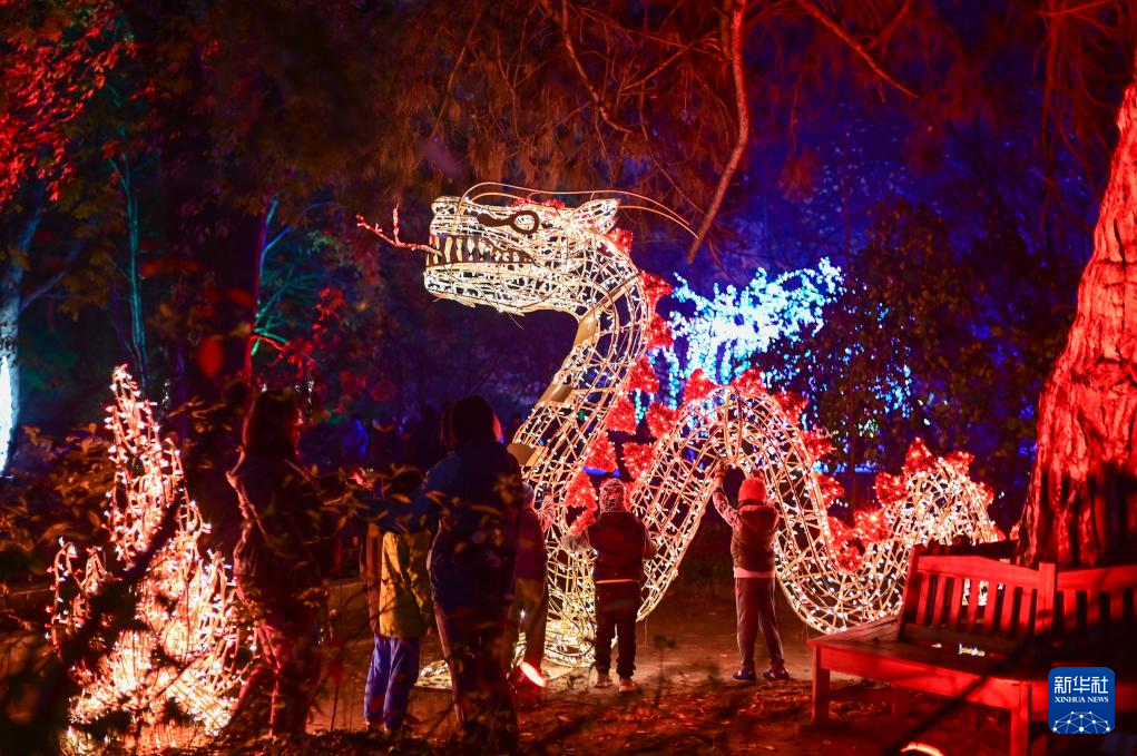 11月8日，游客在波兰华沙大学参观“魔法植物园”灯光展。新华社发（阿列克谢·维特维茨基摄）