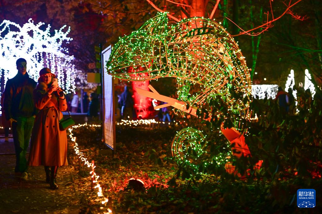 11月8日，游客在波兰华沙大学参观“魔法植物园”灯光展。新华社发（阿列克谢·维特维茨基摄）
