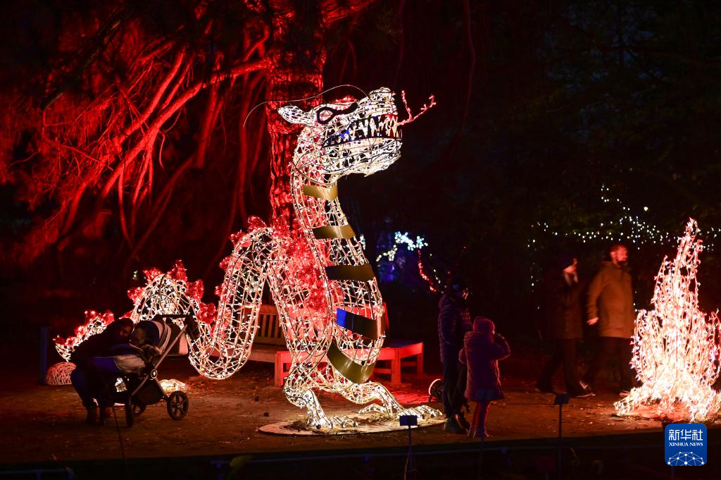11月8日，游客在波兰华沙大学参观“魔法植物园”灯光展。新华社发（阿列克谢·维特维茨基摄）