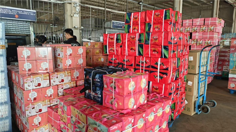 2025年5月，海南新鲜荔枝产品在海口美兰国际机场出岛。海口美兰国际机场供图