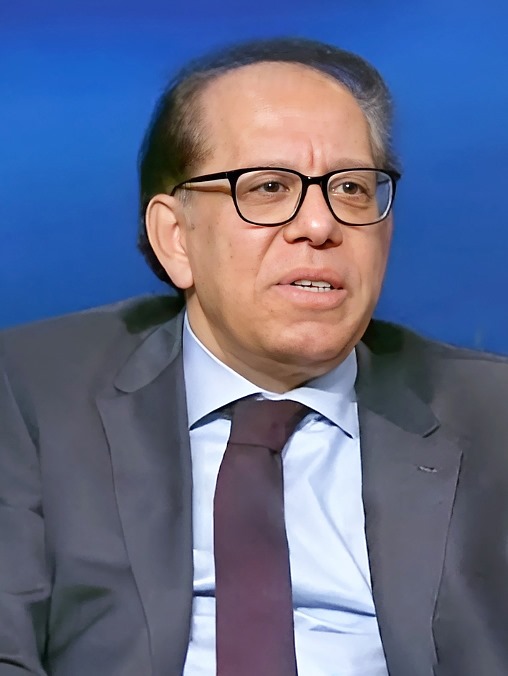 图为埃及埃中商会秘书长、埃及外交事务委员会委员迪亚·赫尔米。受访者供图