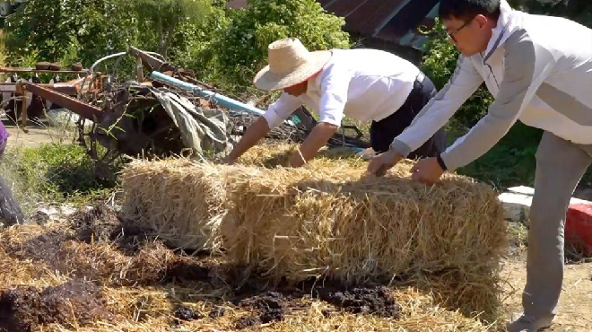 全球连线｜中国技术帮助泰国实现秸秆绿色“变身”